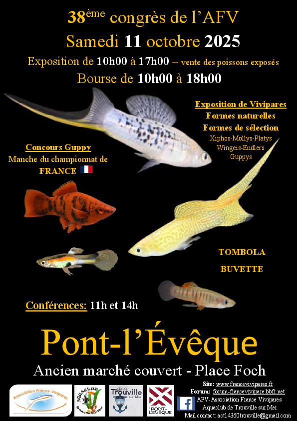 affiche ple 2025