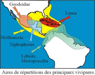 Aire de répartition des vivipares