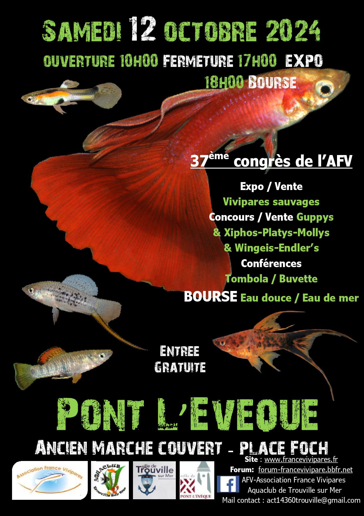 affiche ple 2023