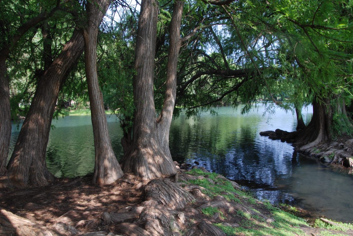 Lac Camécuaro