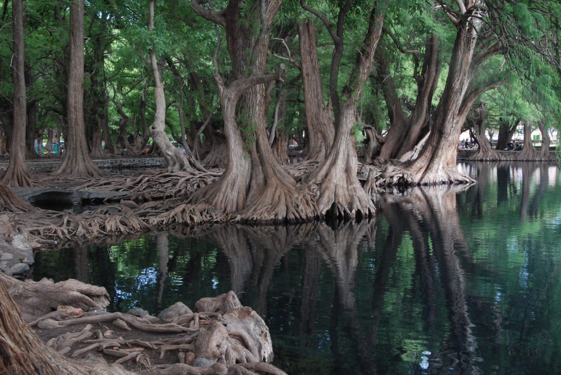 Lac Camécuaro