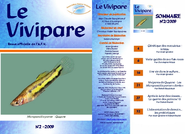 Revue 97