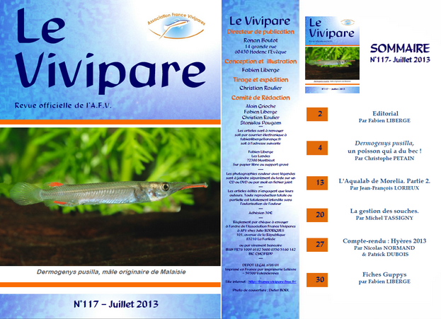 Revue 117